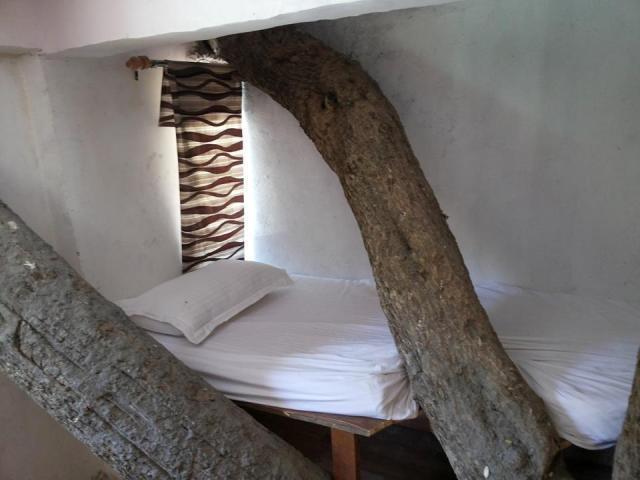 Junglee Resort Rajaji National Park Rishīkesh Cameră foto
